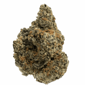 Gas Can
