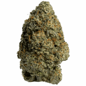 Juicy J