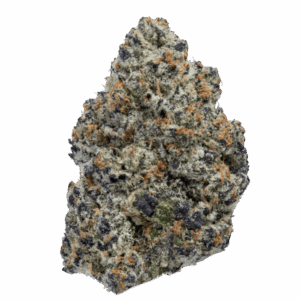 Michigan Purp