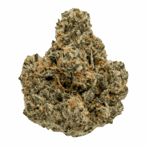 Super Buff Cherry